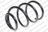 LESJ?FORS 4037256 Coil Spring